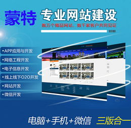 企業專業網站建設費用詳解